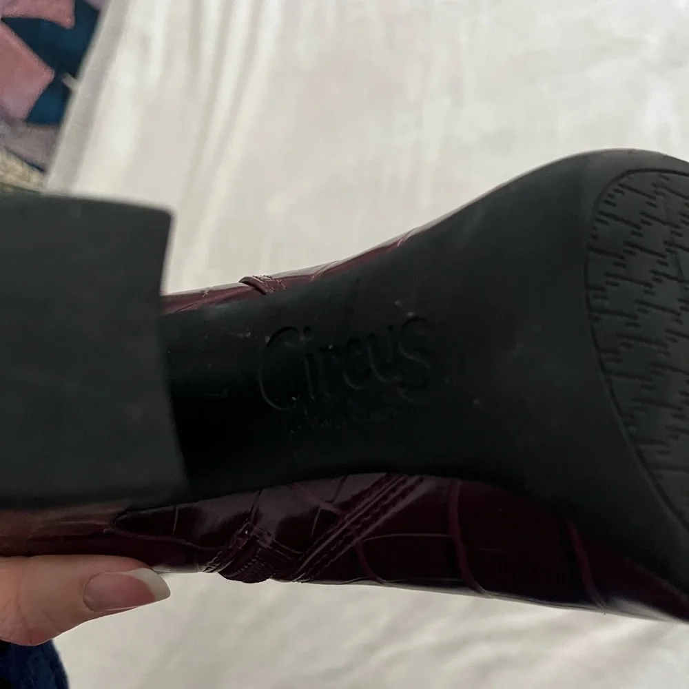 Circus by Sam Edelman Over the Knee Boots - Deep Burgundy - Picture 8 of 8